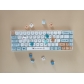 Squirrel 104+32 Cherry MX PBT Dye-subbed Keycaps Set for Mechanical Keyboard GK61 64 68 87 96 980 104 108